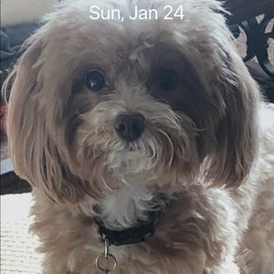 Meet your Posher, Tracy